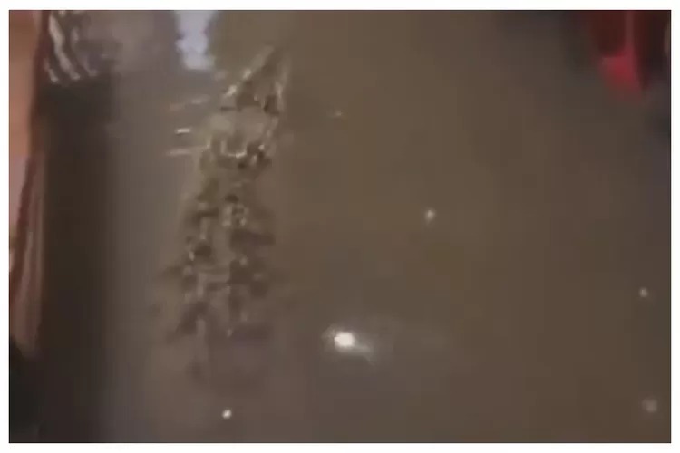 Banjir melanda, seekor buaya masuk rumah di Babelan Bekasi. (Foto:X @PelatihT1dur)